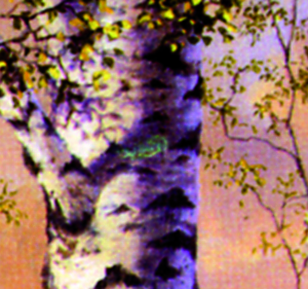 7300.1308.01_01.png