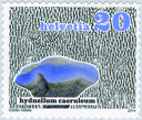 7300.1505.01_01.png
