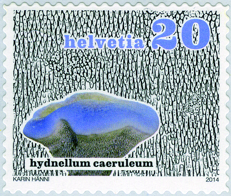 7300.1505.01_02.png