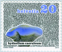 7300.1505.01_02.png