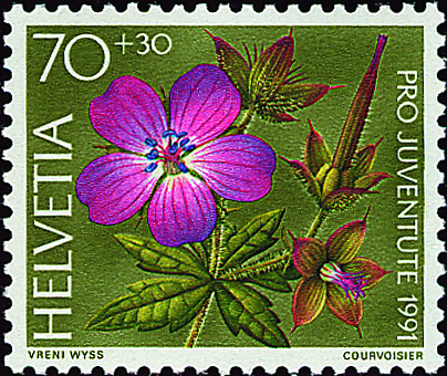 7390.319.01_02.png