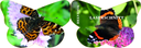 7593.1607.01_01.png