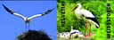 7593.2013.08_01.png