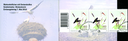 7593.2013.08_02.png