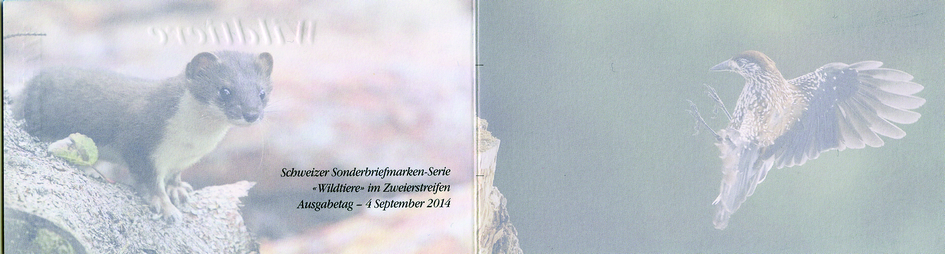 7593.2014.12_05.png