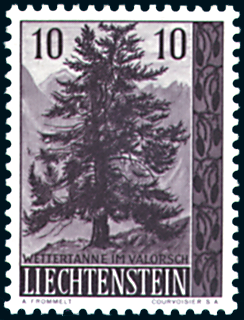 7825.297.01_7.png