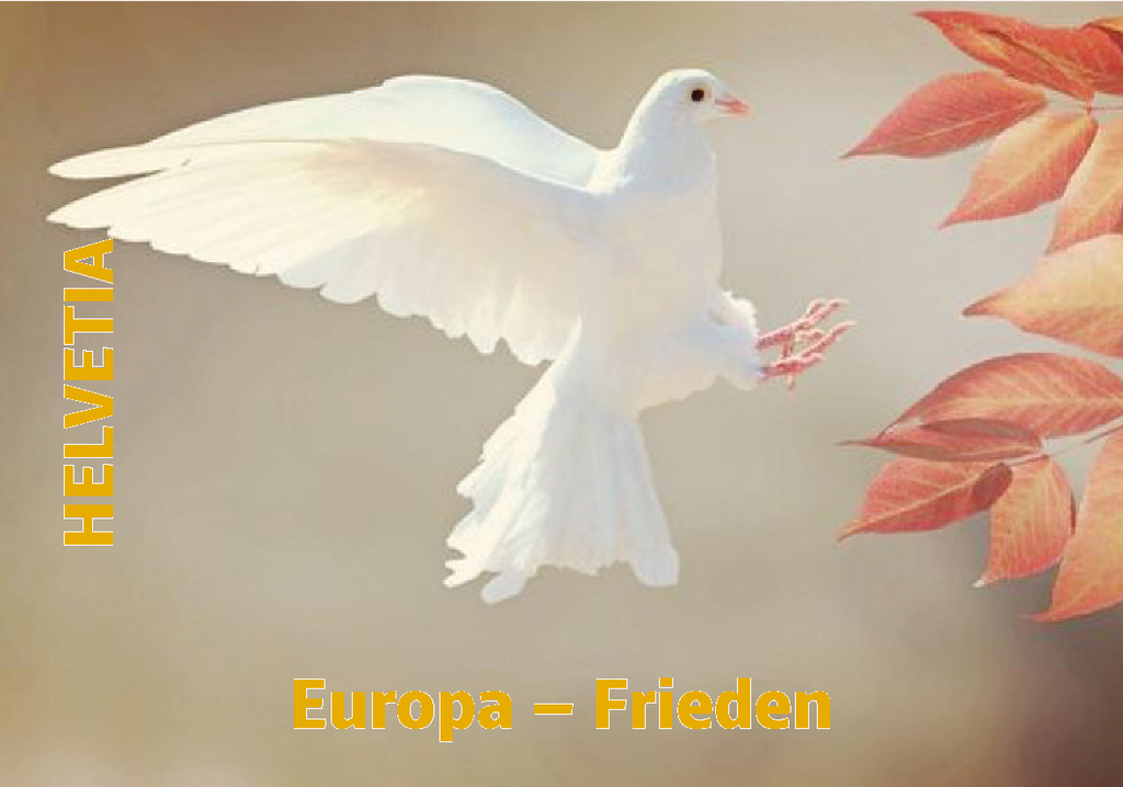 7593.1948.01_01.png
