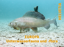 2024, EUROPA - Unterwasserfauna und -flora