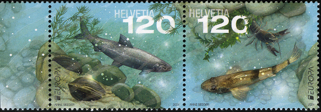 2024, EUROPA - Unterwasserfauna und -flora