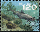 2024, EUROPA - Unterwasserfauna und -flora