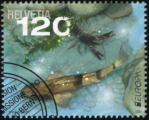 2024, EUROPA - Unterwasserfauna und -flora
