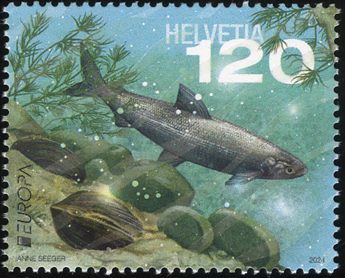 2024, EUROPA - Unterwasserfauna und -flora