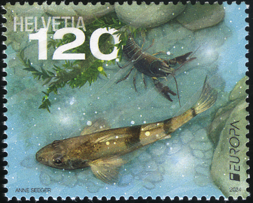 2024, EUROPA - Unterwasserfauna und -flora