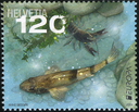 2024, EUROPA - Unterwasserfauna und -flora