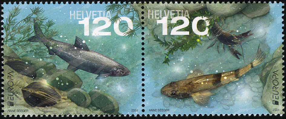 2024, EUROPA - Unterwasserfauna und -flora