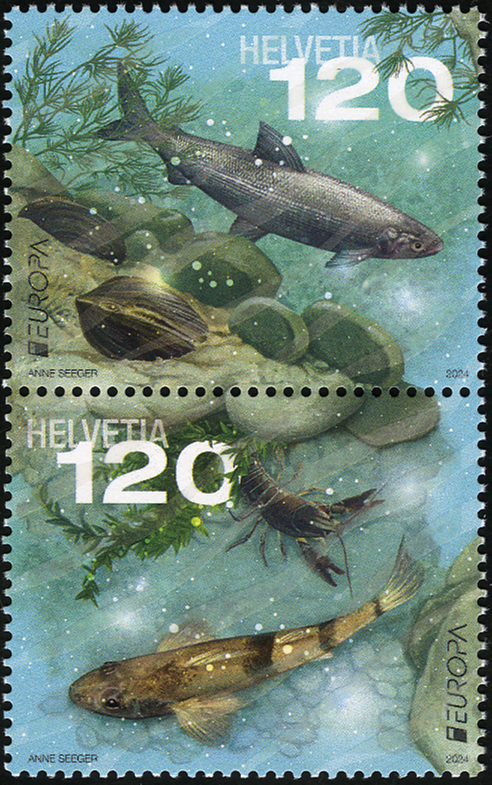 2024, EUROPA - Unterwasserfauna und -flora