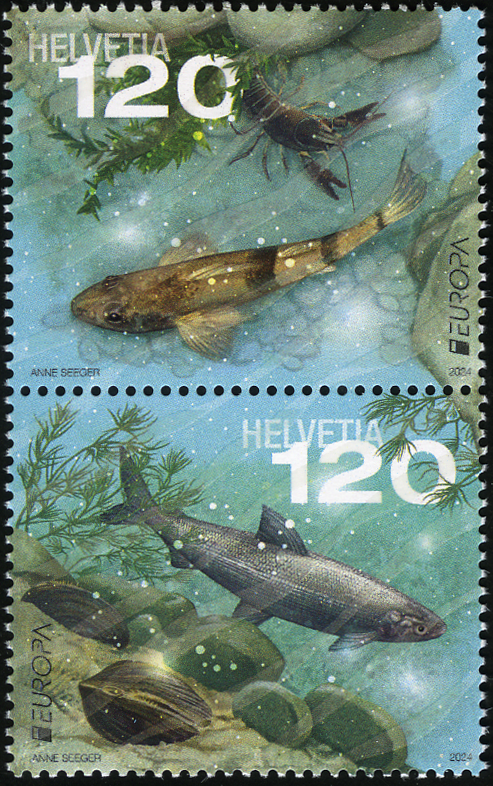 2024, EUROPA - Unterwasserfauna und -flora