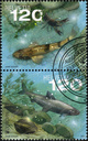 2024, EUROPA - Unterwasserfauna und -flora