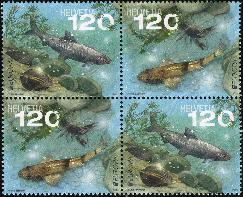 2024, EUROPA - Unterwasserfauna und -flora