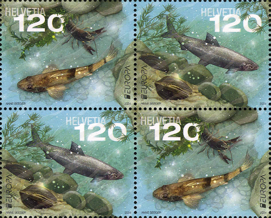 2024, EUROPA - Unterwasserfauna und -flora