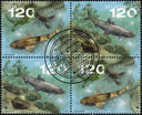 2024, EUROPA - Unterwasserfauna und -flora