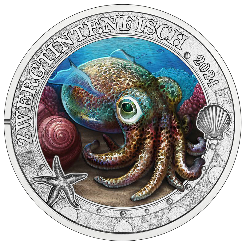 2024, Zwergtintenfisch, Österreich