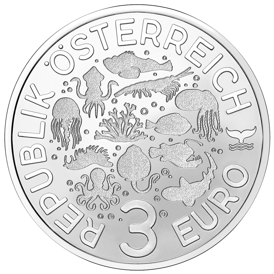 2024, Zwergtintenfisch, Österreich