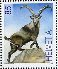 85 Rp. Steinbock, "Grosse gelbe Schlange am Hinterteil" u. "Blaues Fragezeichen über dem Steinbock"