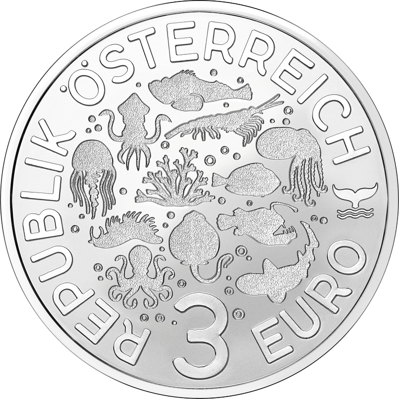 2025, Nacktkiemerschnecke, Österreich