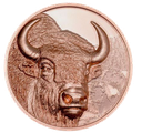 2025, Bison, Mongolei