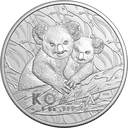 2025, Koala, Australien
