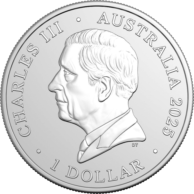 2025, Koala, Australien