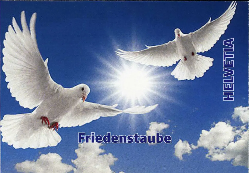 7593.2078.01_1.webp