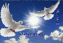 7593.2078.01_1.webp