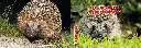 7593.2104.01_1.webp