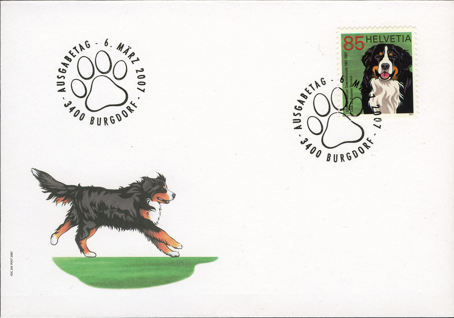 85 Rp. Berner Sennenhund, "Braune Fellstruktur"