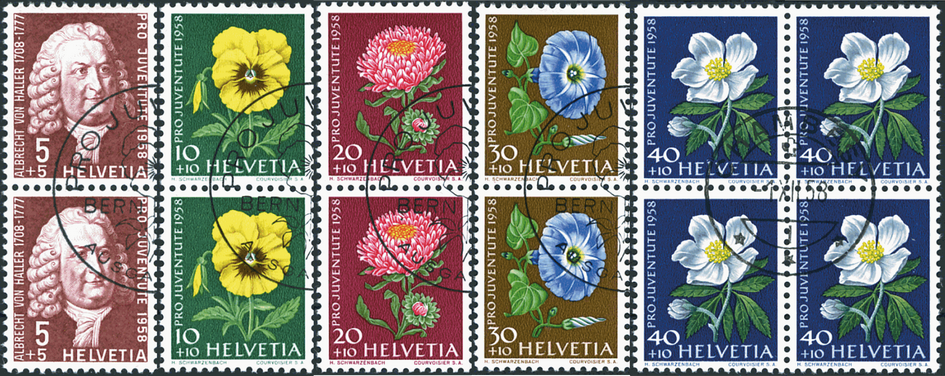 1958, Bildnis Albert von Hallers, Wiesen- und Gartenblumen