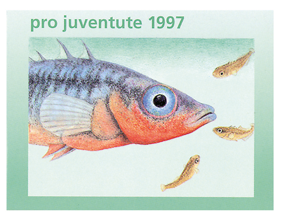 1997, Stichling