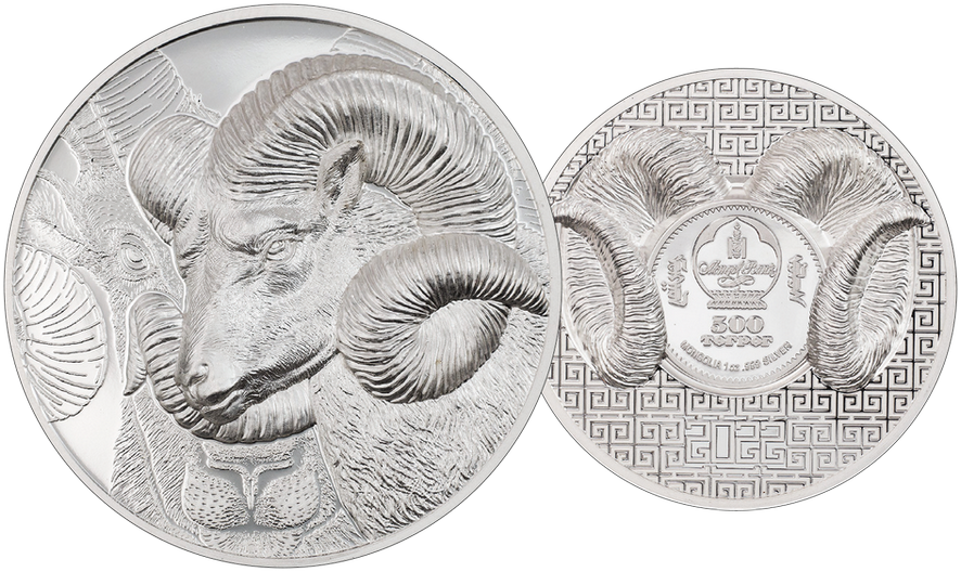 2022, Argali, Mongolei