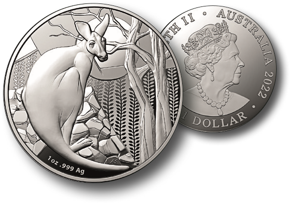 2022, Känguru, Australien