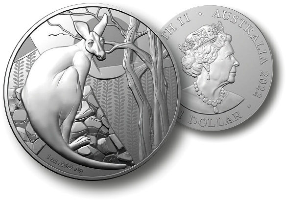 2022, Känguru, Australien