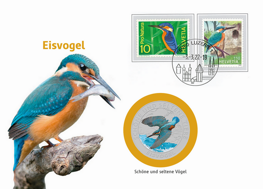 110 Rp. Eisvogel