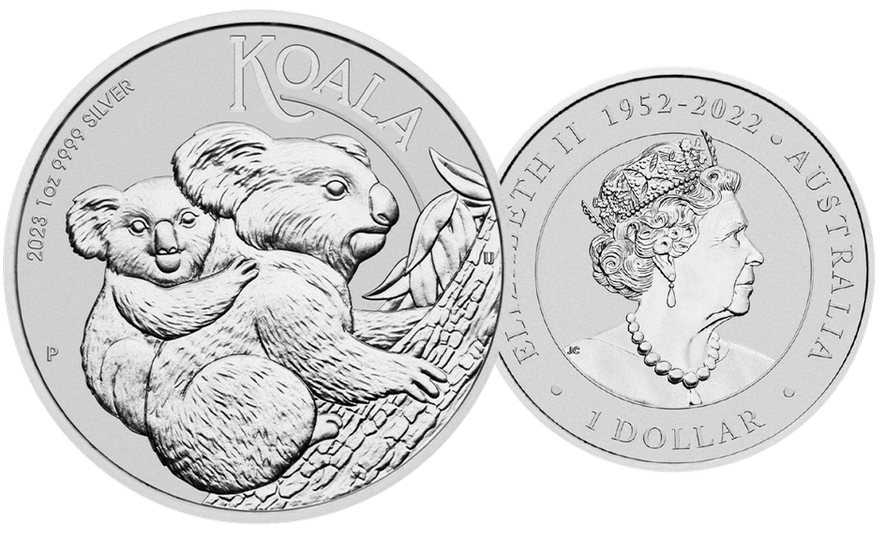 2023, Koala, Australien