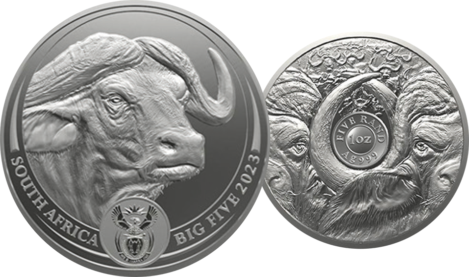 2023, Büffel, Südafrika