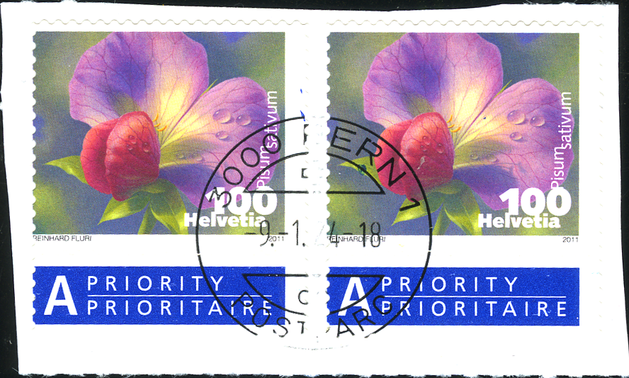 100 Rp. Kiefelerbse, "Starke Verschiebung des gesamten Markenbildes"