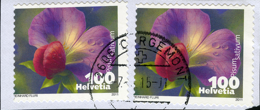 100 Rp. Kiefelerbse, "Starke Verschiebung des gesamten Markenbildes"