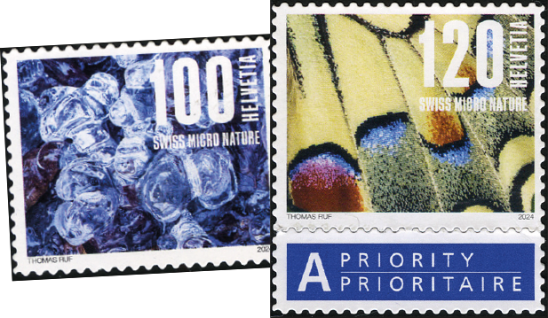 2024, Naturmuster