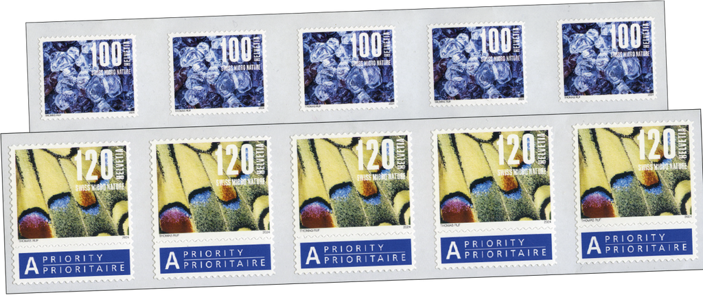 2024, Naturmuster