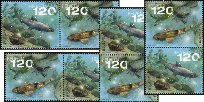 2024, EUROPA - Unterwasserfauna und -flora