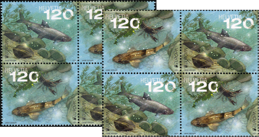 2024, EUROPA - Unterwasserfauna und -flora